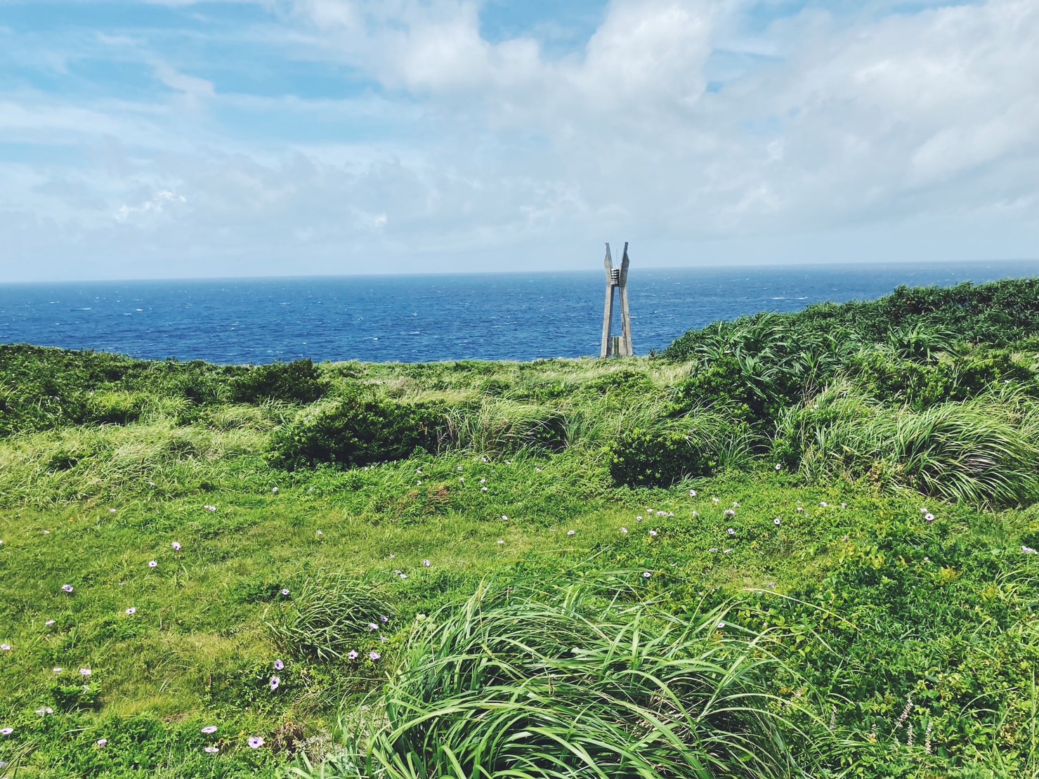 【ブログ】鹿児島の離島！徳之島を女一人旅で5泊6日した旅行記