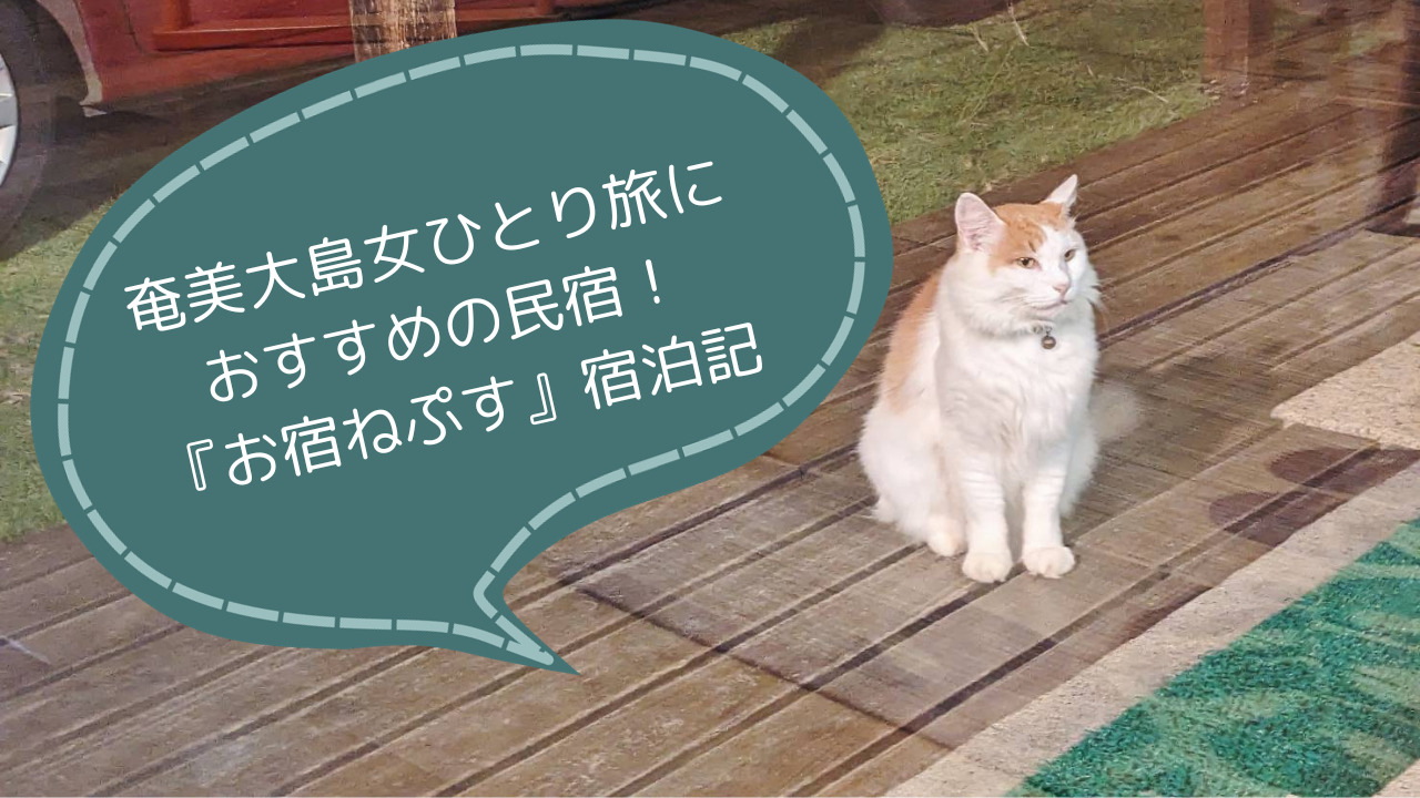 お宿ねぷす宿泊記｜奄美大島でおすすめの看板猫のいる民宿！古仁屋から車で10分！女ひとり旅のブログ