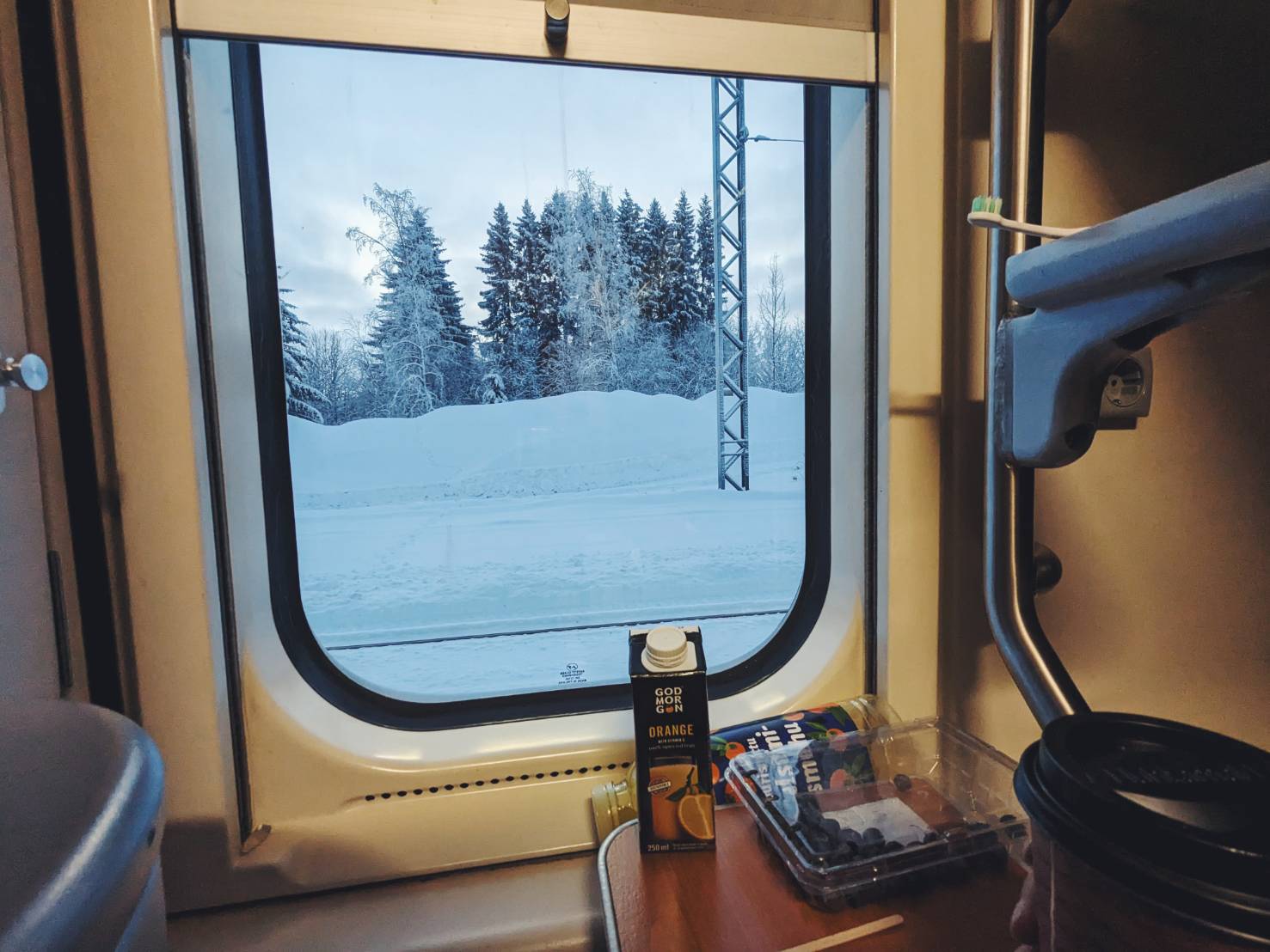 2024年！サンタクロースエクスプレスに乗ったブログ｜寝台列車でヘルシンキからロヴァニエミへ